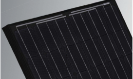 monokristallines Blacklabel Modul Jinko Solar